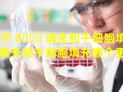 量子 🐒 填充和干细胞填充（量子填充和干细胞填充哪个更好）